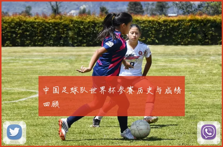 中国足球队世界杯参赛历史与成绩回顾