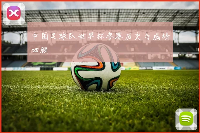 中国足球队世界杯参赛历史与成绩回顾