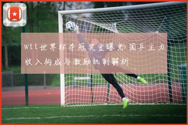wtt世界杯夺冠奖金曝光 国乒主力收入构成与激励机制解析